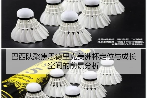 巴西队聚焦恩德里克美洲杯定位与成长空间的前景分析